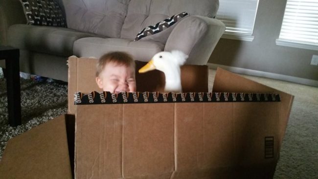 Like any other child, Tyler prefers the box over the toy inside of it, and Bee tends to feel the same way.