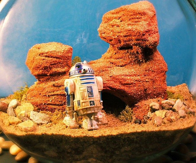 R2-D2 Tattooine Terrarium - $99.99