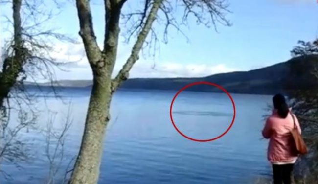 Tourist Connie Ross was one of the five people blessed with a glimpse of Nessie. She snapped a video of this bizarre shadow lurking beneath the water's surface.
