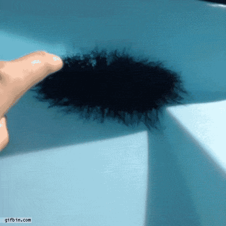 It looks like a pile of hair, but DON'T TOUCH IT!