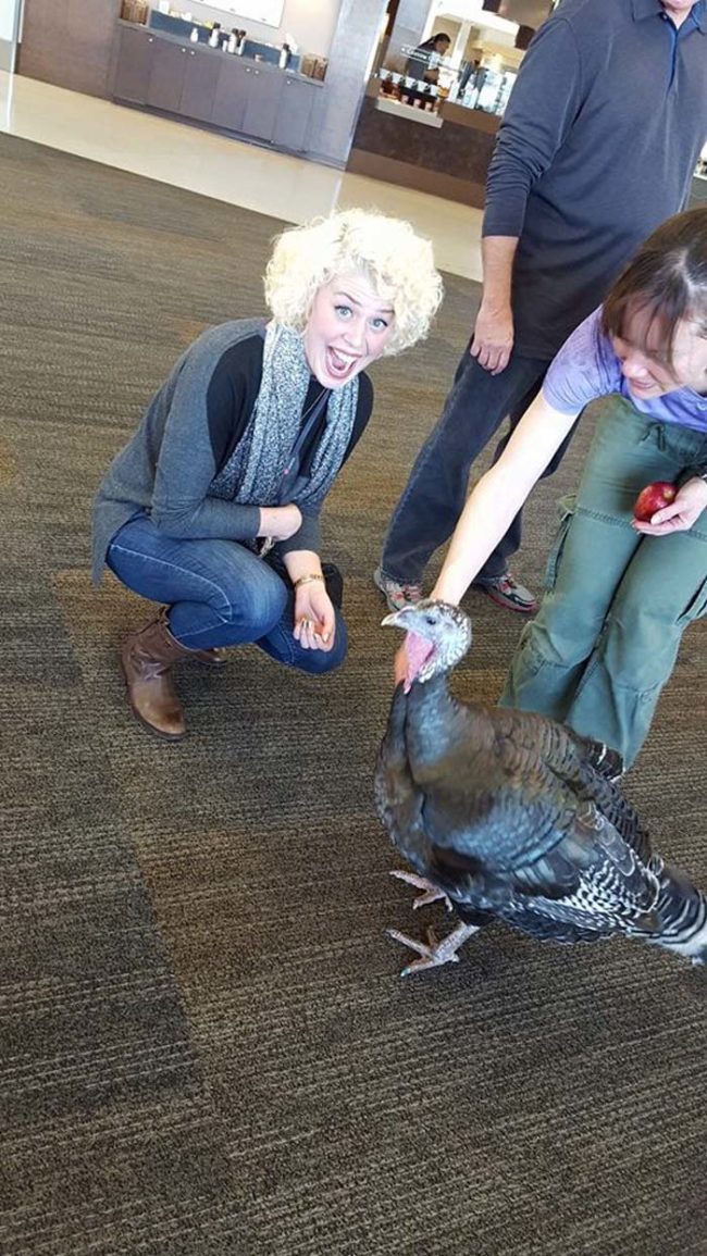 For example, there's this emotional support turkey that was spotted on a flight to Seattle last week.