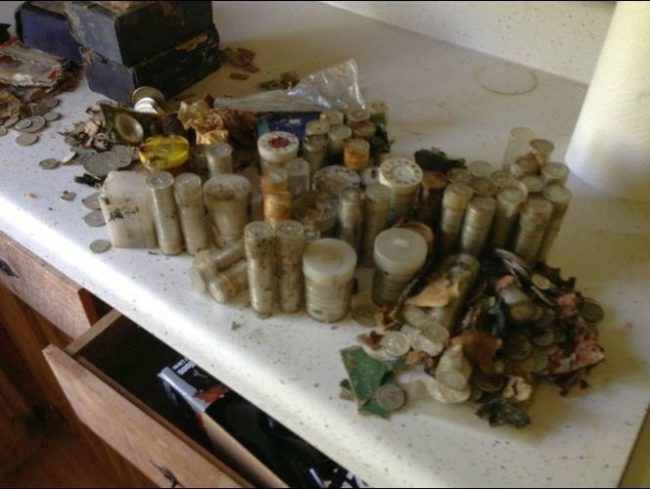 One Tennessee homeowner found all of these coins hidden in a safe.