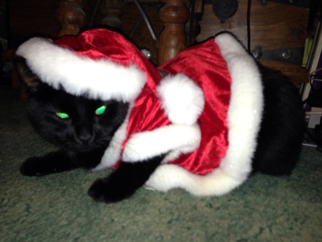 Activating his "Santa Claws" in 3...2...