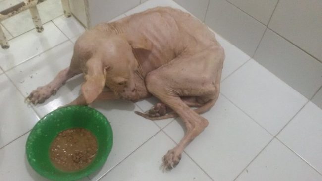 When rescue workers first offered her food, she refused to eat -- a sign of severe starvation.