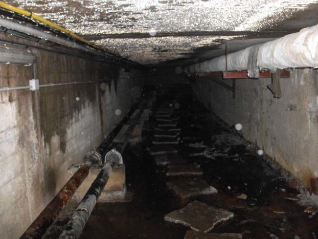 The hallways eventually started to look like this, and they were partially submerged in murky water. Condensation dripped from the ceiling.