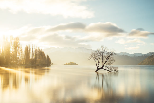 "My photographic style changed considerably earlier this year, since I found all the inspiration I needed in Wanaka," he writes.
