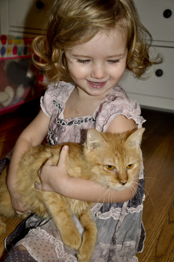 But what couldn't be fixed right away was the psychological damage. At first, she wouldn't move an inch when she was free to wander. But with the help of a two-year-old girl, she soon became a fun-loving kitty!