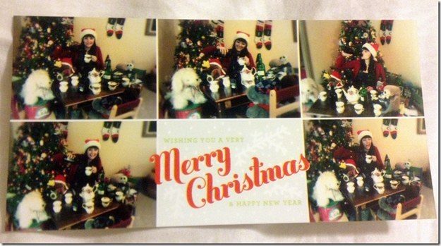She was tired of getting family Christmas cards, so she made some of her own.