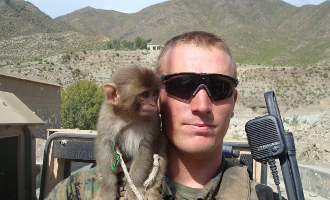 During World War I, a monkey was promoted to corporal.
