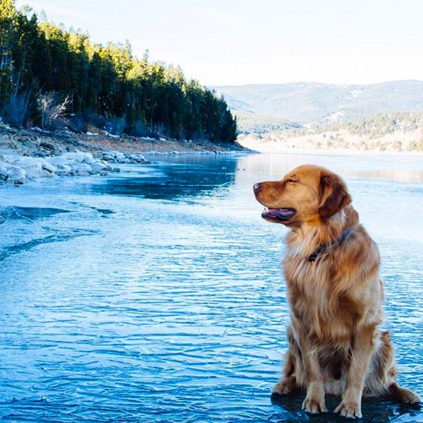 There's nothing Aspen loves more than traveling the country with Hunter and Sarah (and hamming it up for these photos, of course).