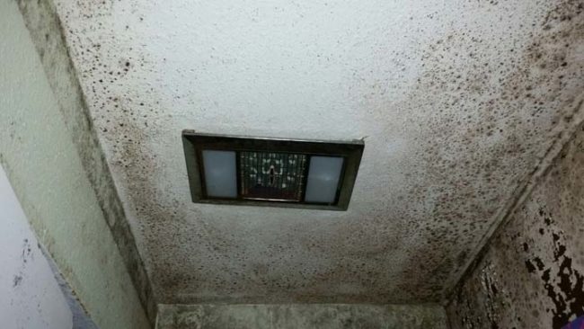 For whatever reason, the bathroom was covered from top to bottom in horrifying black mold.