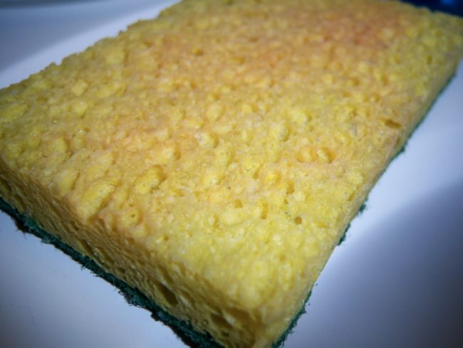 Kitchen sponges have loads of bacteria on them from scrubbing off food particles.