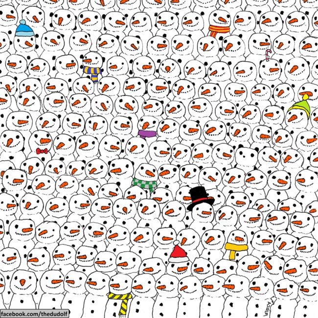 If you thought the last one was too easy, find the panda among these snowmen.