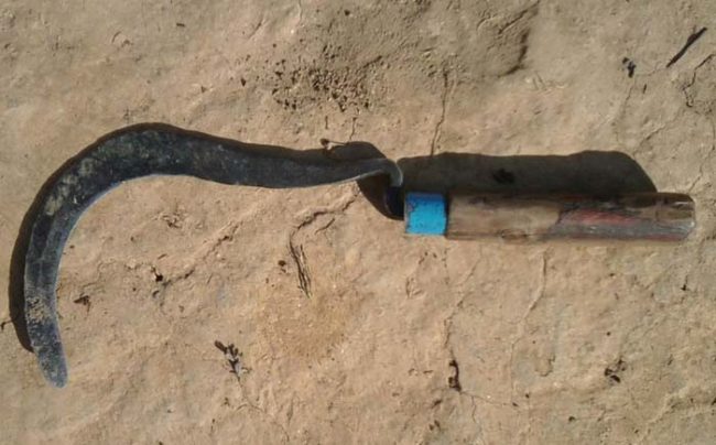 Recently, researchers came across something bizarre: several corpses were buried with what appears to be an ancient iron sickle placed around their necks.