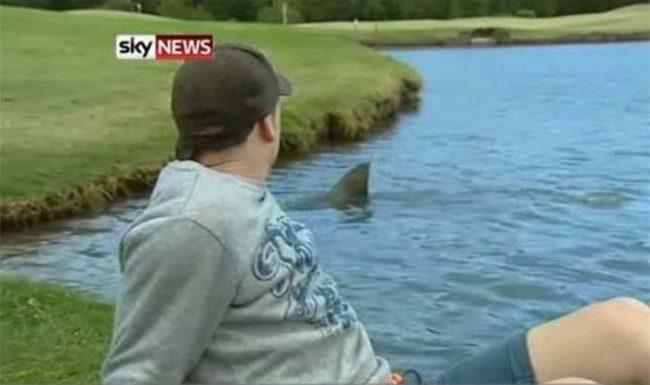 This guy was just hanging out at a golf course one day...and so was this shark.