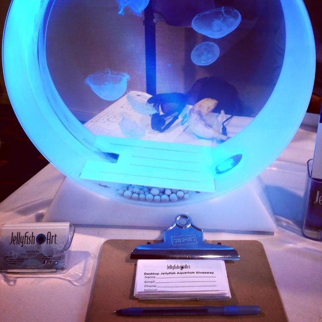 How cool would it be to have a couple of jellyfish just chilling at your desk?