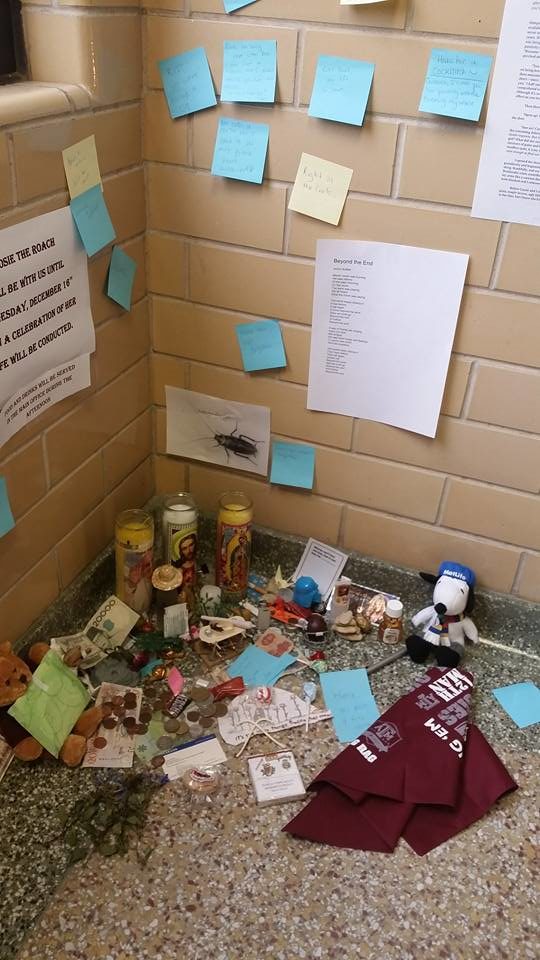 Rosie's shrine just kept growing! Some students even decided to write poetry in her honor.