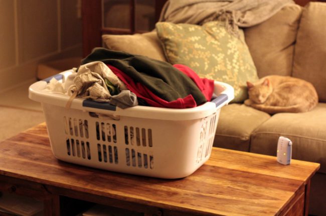 If you put your dirty clothes in a laundry basket, then you should know that it's covered with bacteria.