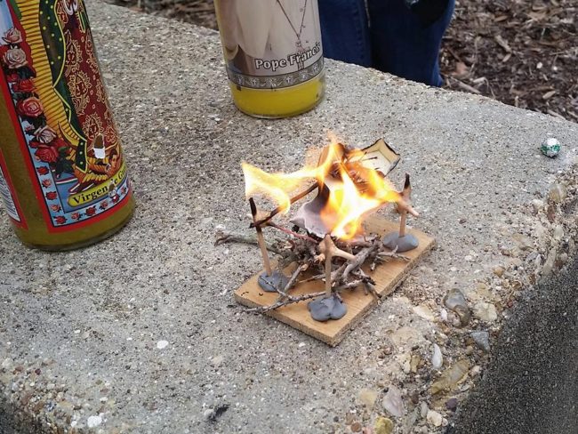 On December 17, the students that (apparently) adored Rosie cremated her, letting her little roach soul rest in peace.