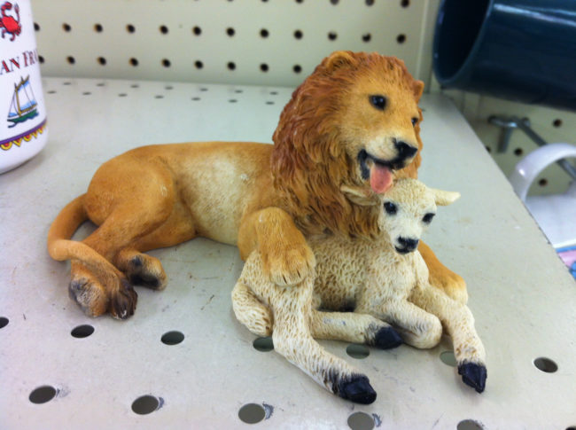 I don't like this lion. Not at all.