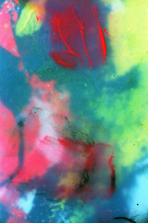 Her <em>33mm Macro Paintings</em> series explores the roles of light and color in digital media.