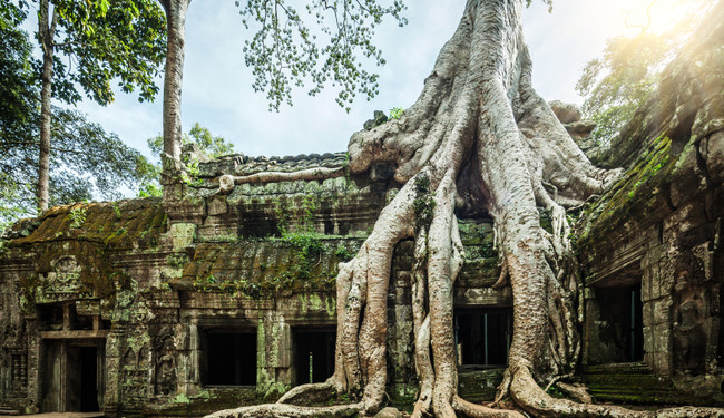 Ground yourself at Angkor Wat.
