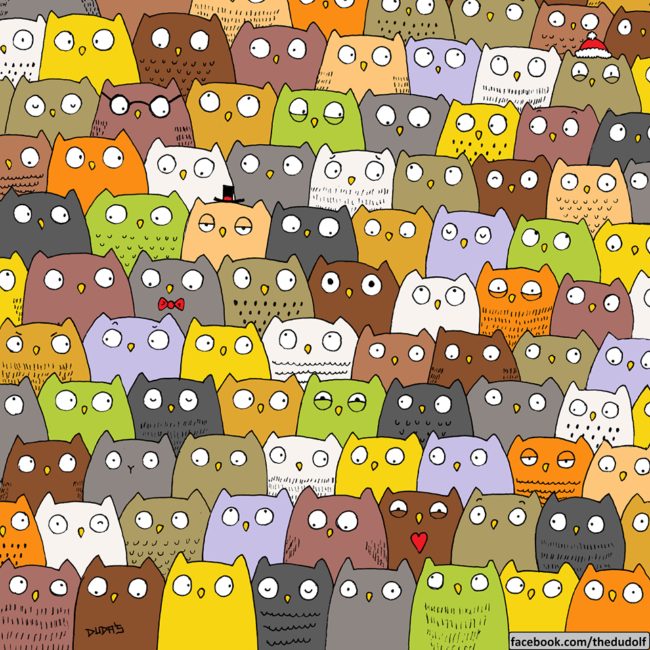Here are some adorable owls. There's nothing else in there. Just owls. Kidding! Find the cat, puny humans.