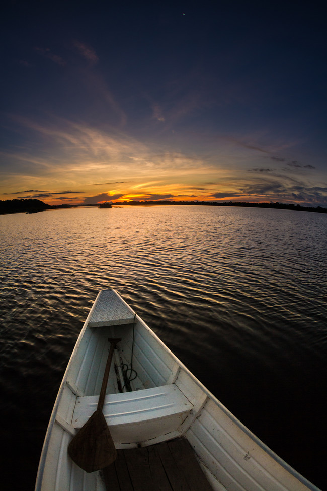 Dip a toe in the Amazon.