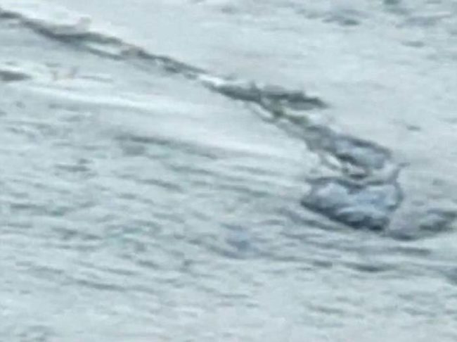 However, the best evidence for the creature's existence came in 2012 when a pair of tourists captured something long and slithery swimming beneath the surface of the lake.