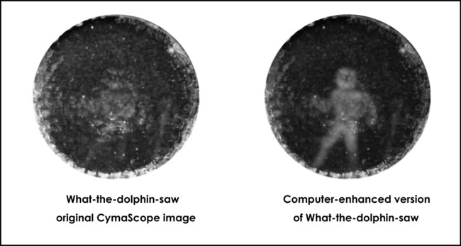 Finally, a computer was used to 3-D print a version of it, allowing scientists to essentially see exactly what the experience of using echolocation is like.