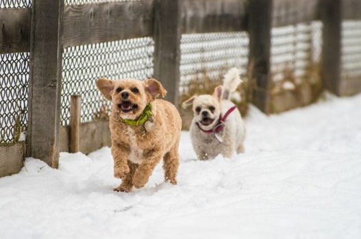 ...others just couldn't get enough of the great outdoors.