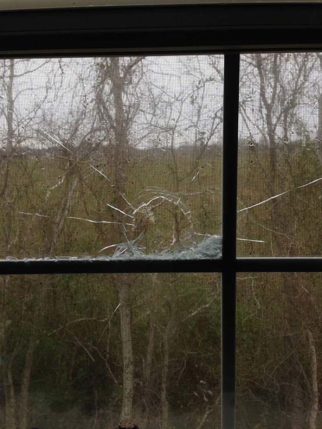 ahhvey said that his friend went to bed on New Year's Eve at a reasonable time, and awoke to find this bullet hole in his window.