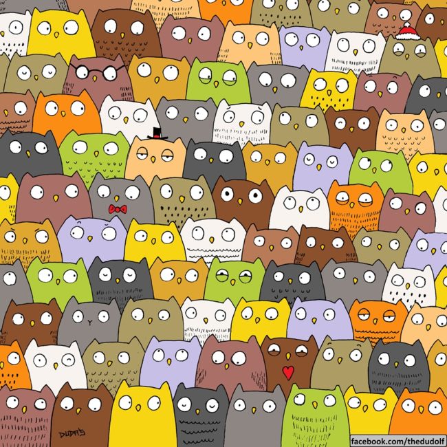 Can you find the cat that's hanging out with all of these adorable owls?