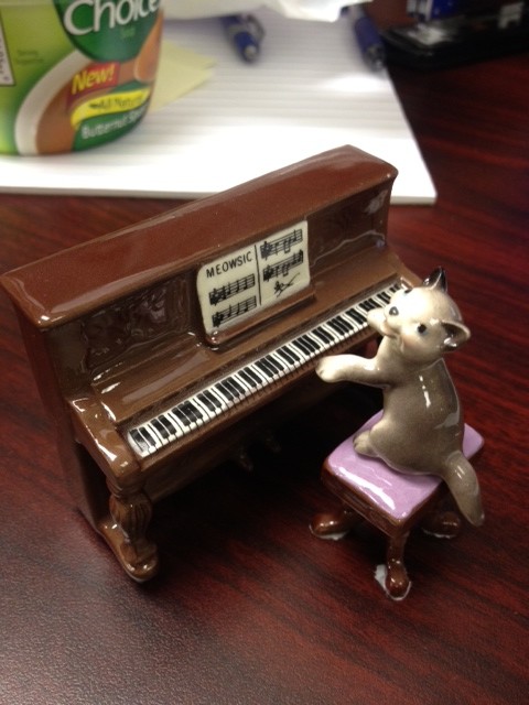 A cat playing a piano?