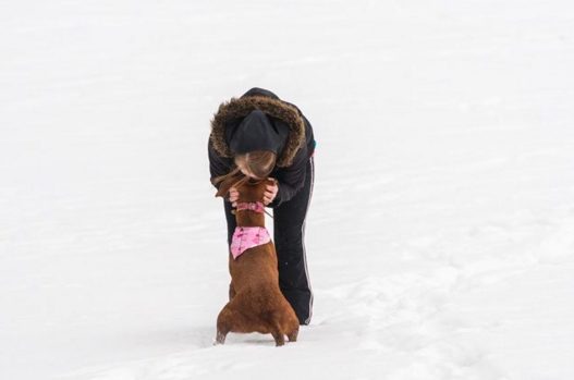 And they were thrilled to share the fresh powder with their favorite humans!