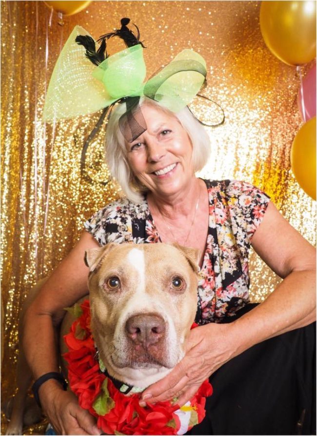 The furry cuties even had prom dates to pose for pictures with...