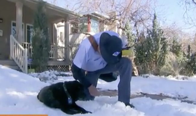 But as time went on, Kramer quickly noticed that as Tashi continued to age, it became increasingly harder for the pooch to make it up and down his family&rsquo;s porch steps.